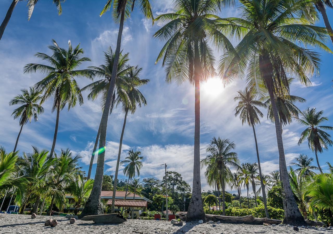 Hotel Manuel Antonio Zewnętrze zdjęcie