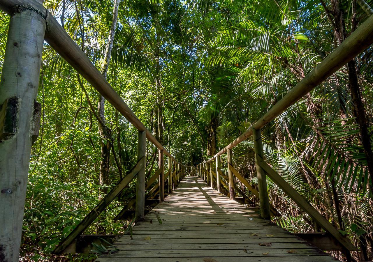 Hotel Manuel Antonio Zewnętrze zdjęcie