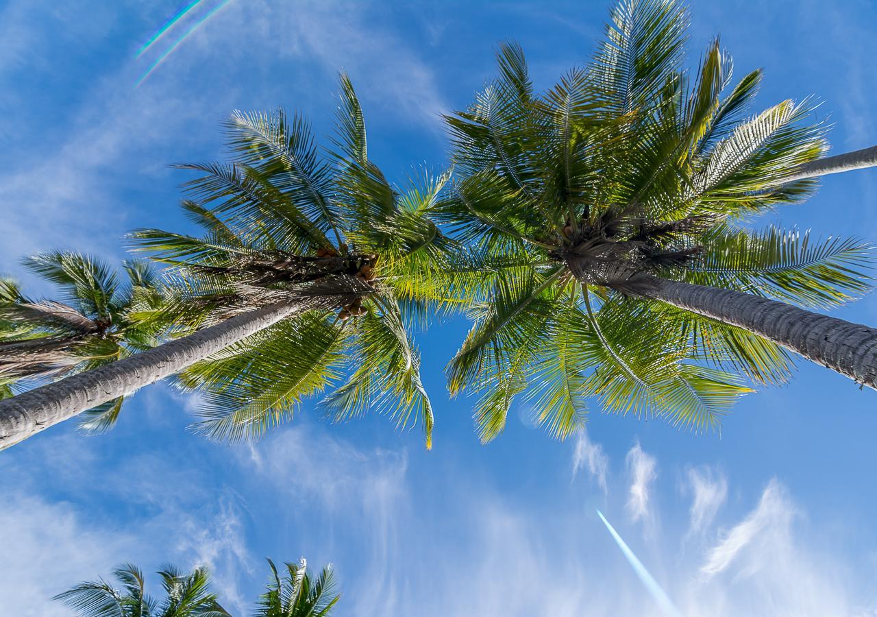 Hotel Manuel Antonio Zewnętrze zdjęcie